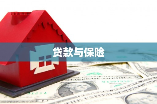 青阳贷款与保险