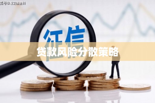 青阳贷款风险分散策略