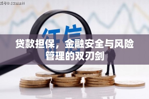 青阳贷款担保，金融安全与风险管理的双刃剑