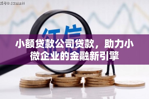 青阳小额贷款公司贷款，助力小微企业的金融新引擎