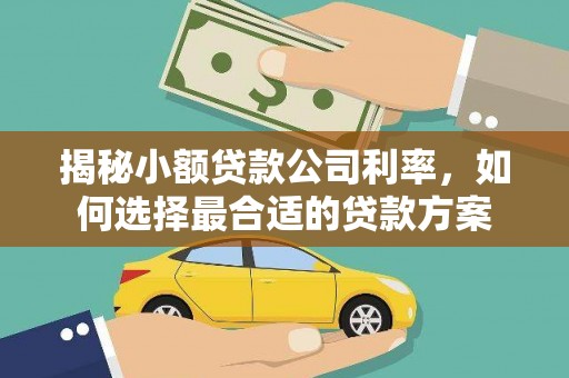 青阳揭秘小额贷款公司利率，如何选择最合适的贷款方案