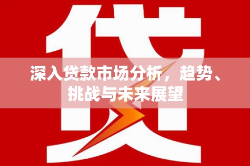 青阳深入贷款市场分析，趋势、挑战与未来展望