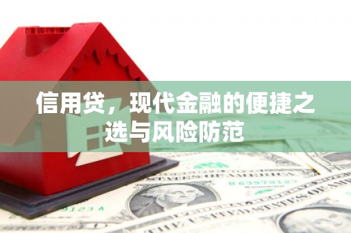 青阳信用贷，现代金融的便捷之选与风险防范