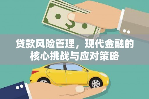 青阳贷款风险管理，现代金融的核心挑战与应对策略