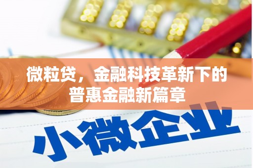青阳微粒贷，金融科技革新下的普惠金融新篇章