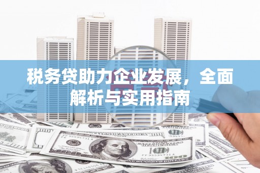 青阳税务贷助力企业发展，全面解析与实用指南