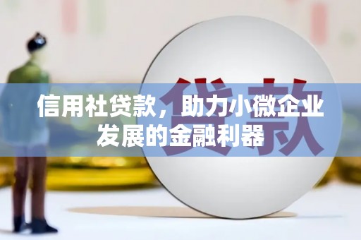 青阳信用社贷款，助力小微企业发展的金融利器