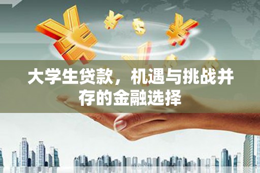 青阳大学生贷款，机遇与挑战并存的金融选择