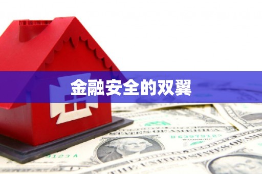 青阳金融安全的双翼