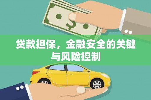 青阳贷款担保，金融安全的关键与风险控制