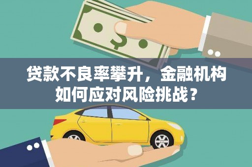 青阳贷款不良率攀升，金融机构如何应对风险挑战？