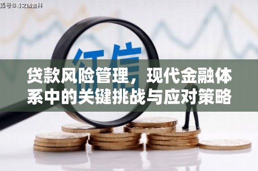 青阳贷款风险管理，现代金融体系中的关键挑战与应对策略