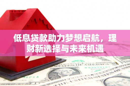 青阳低息贷款助力梦想启航，理财新选择与未来机遇