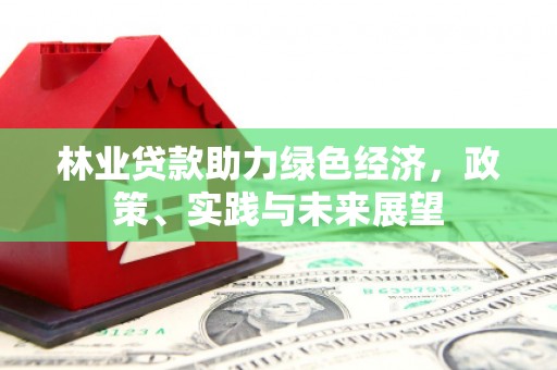 青阳林业贷款助力绿色经济，政策、实践与未来展望