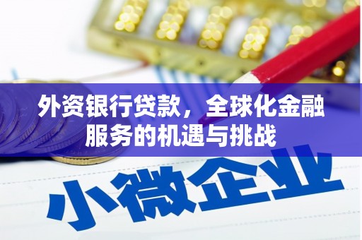 青阳外资银行贷款，全球化金融服务的机遇与挑战