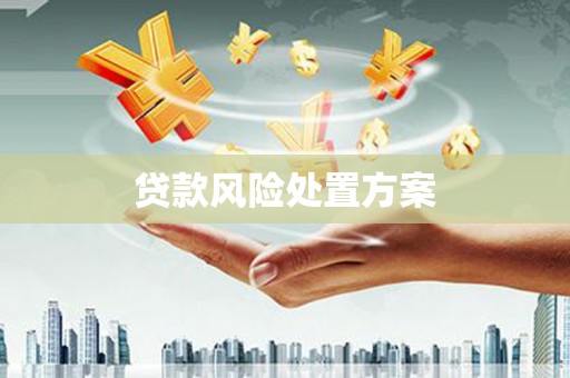 青阳贷款风险处置方案