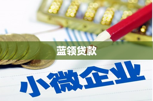 青阳蓝领贷款