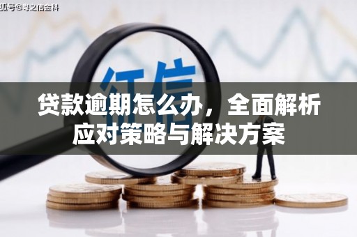 青阳贷款逾期怎么办，全面解析应对策略与解决方案