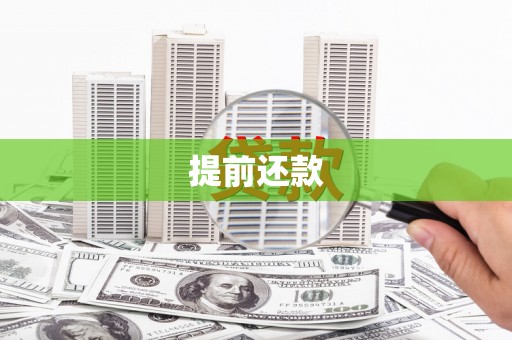 青阳提前还款