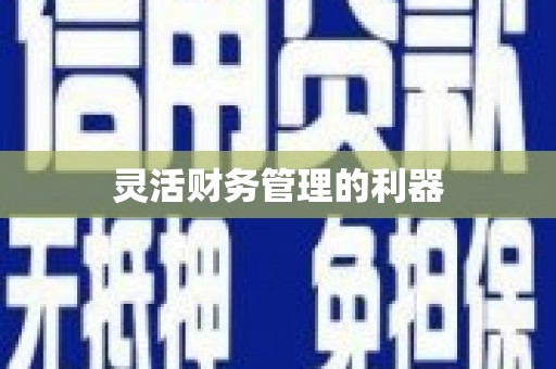 青阳灵活财务管理的利器