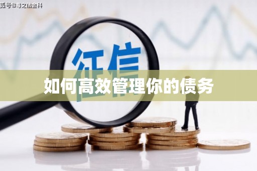 青阳如何高效管理你的债务