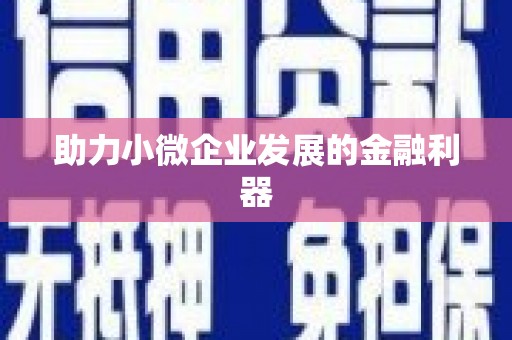 青阳助力小微企业发展的金融利器