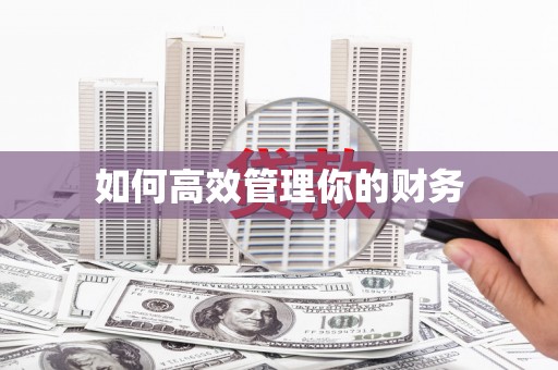 青阳如何高效管理你的财务