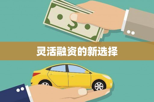 青阳灵活融资的新选择