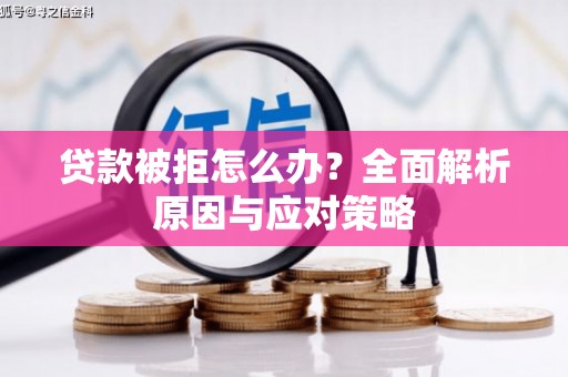 青阳贷款被拒怎么办？全面解析原因与应对策略