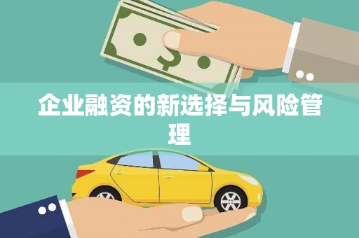 青阳企业融资的新选择与风险管理