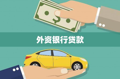 青阳外资银行贷款