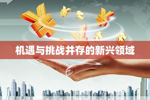 青阳机遇与挑战并存的新兴领域