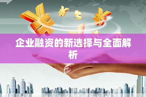 青阳企业融资的新选择与全面解析
