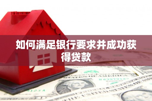 青阳如何满足银行要求并成功获得贷款