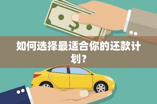 青阳如何选择最适合你的还款计划？