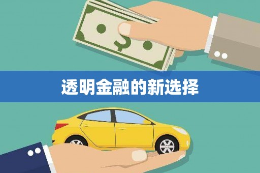 青阳透明金融的新选择
