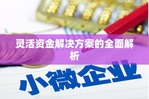 青阳灵活资金解决方案的全面解析
