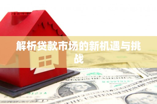 青阳解析贷款市场的新机遇与挑战