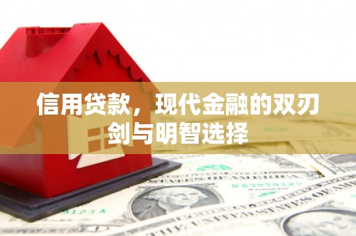 青阳信用贷款，现代金融的双刃剑与明智选择