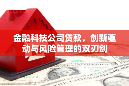 青阳金融科技公司贷款，创新驱动与风险管理的双刃剑