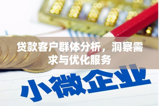 青阳贷款客户群体分析，洞察需求与优化服务